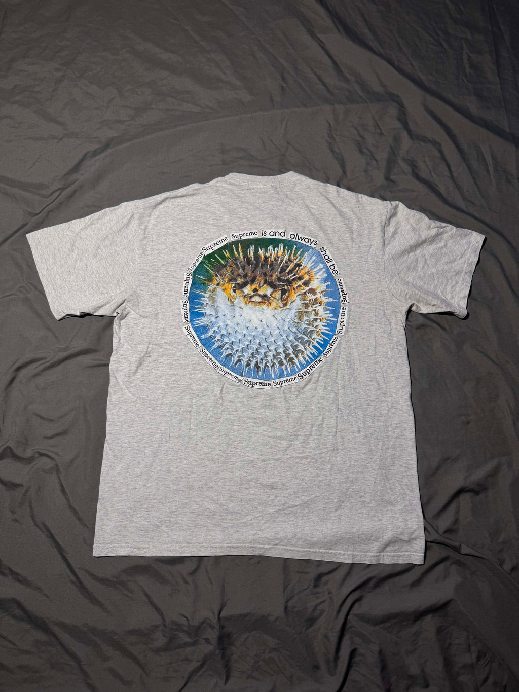 Koszulka Supreme Blowfish Tee Ash Grey