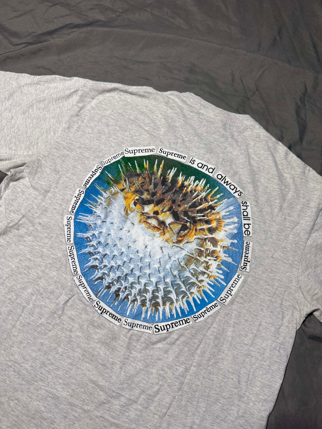 Koszulka Supreme Blowfish Tee Ash Grey